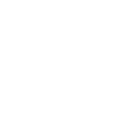 MultiCortex DevCore